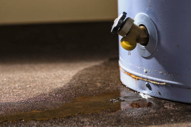 Best Water damage contractors near me  in Conning Towers Nautilus Park, CT