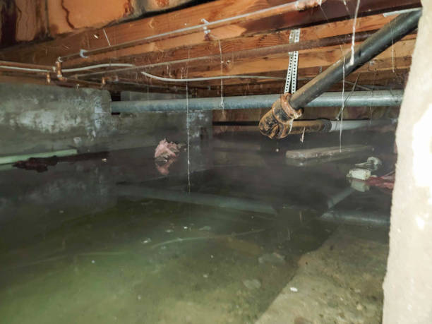 Best Emergency water damage restoration  in Conning Towers Nautilus Park, CT
