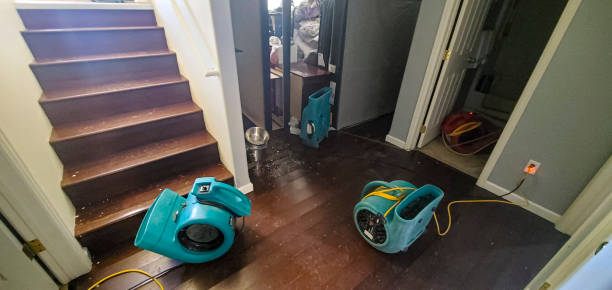 Best Flood restoration services  in Conning Towers Nautilus Park, CT