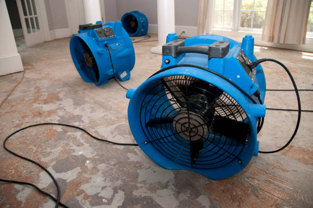 Best 24-hour water damage restoration  in Conning Towers Nautilus Park, CT