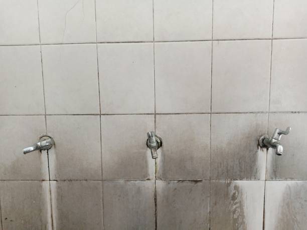 Best Water damage restoration near me  in Conning Towers Nautilus Park, CT