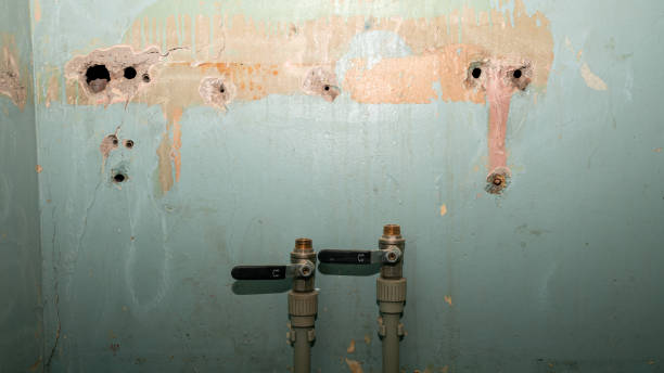 Best Flood damage cleanup  in Conning Towers Nautilus Park, CT