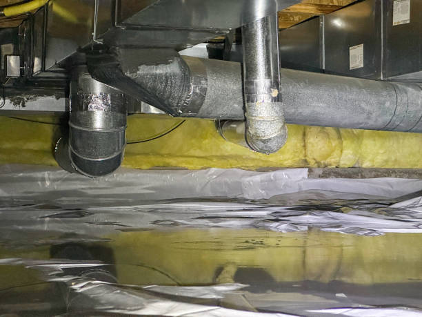 Best Mold removal after water damage  in Conning Towers Nautilus Park, CT