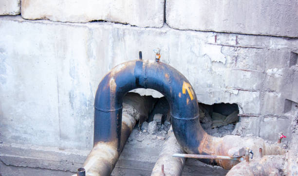 Best Local water damage restoration  in Conning Towers Nautilus Park, CT