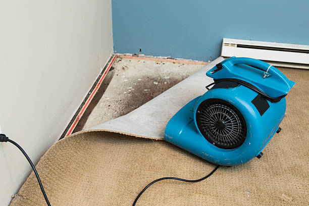 Best Ceiling water damage repair  in Conning Towers Nautilus Park, CT